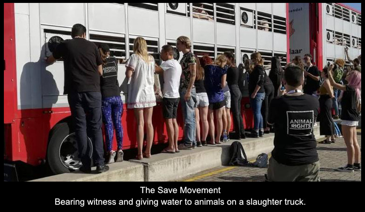 The Save Movement