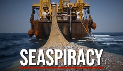 Seaspiracy Fishing & the Oceans