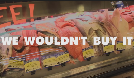 Stop Eating Fish